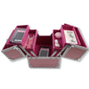 Deluxe Pink Eyelash Kit SuitCase